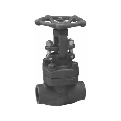 Bolted Bonnet Globe Valve (Forged Steel)