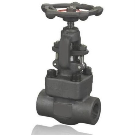 Bolted Bonnet Globe Valve (Forged Steel)