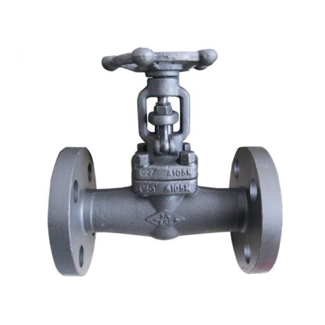 Integral Flanged End Gate Valve