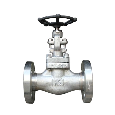 Integral Flanged End Globe Valve