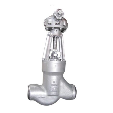 Gear Operated Pressure Seal Globe Valve Flange End & Buttweld Gallery | Globe Valve | Nafe Steel