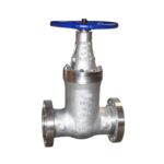 Hand Wheel Operated Pressure Seal Gate Valve Flange End & Buttweld | Gate Valve | Nafe Steel