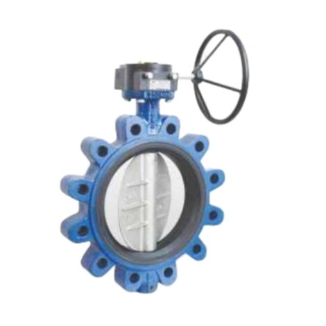 Wafer Lug Type Lined Butterfly Valve Gear Operated