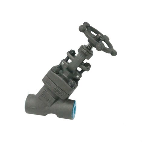 Y Pattern Bolted Globe Valve